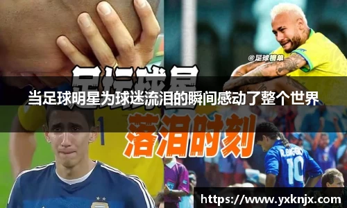 彩神VI首页官网